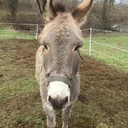 Relais Des Chaux Saint-Jean-des-Ollières