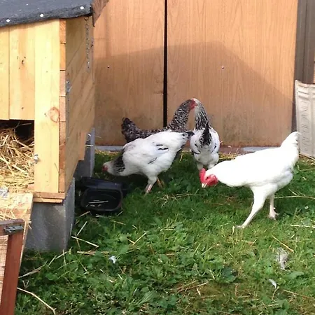 Frühstückspension Relais Des Chaux Saint-Jean-des-Ollières