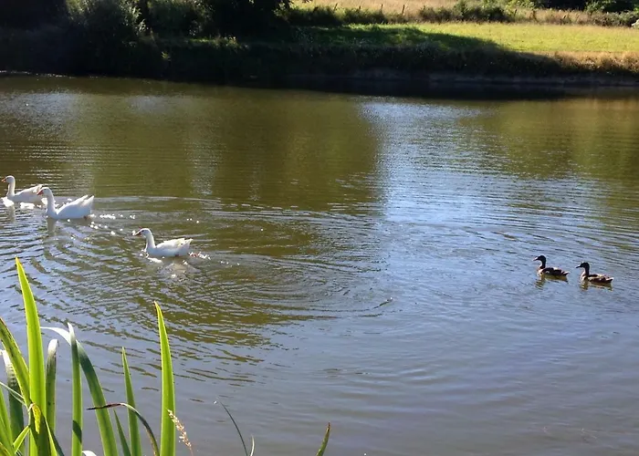 Relais Des Chaux Bed & Breakfast Saint-Jean-des-Ollières