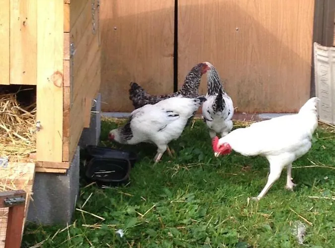 Bed & Breakfast Relais Des Chaux Saint-Jean-des-Ollières