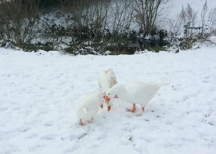 Relais Des Chaux Bed & Breakfast